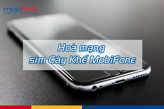 hoa mang sim cay khe mobifone