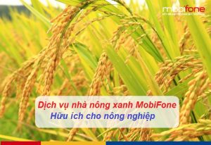 dich vu nha nong xanh mobifone