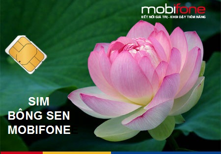 Mua sim Bông Sen MobiFone Sim Bông Sen của MobiFone