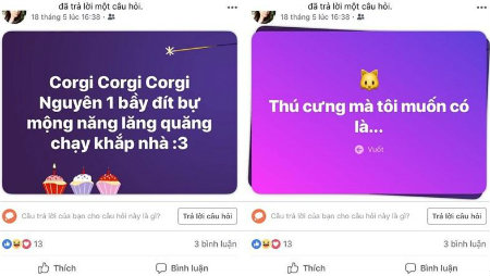 tra-loi-cau-hoi-tren-facebook-t