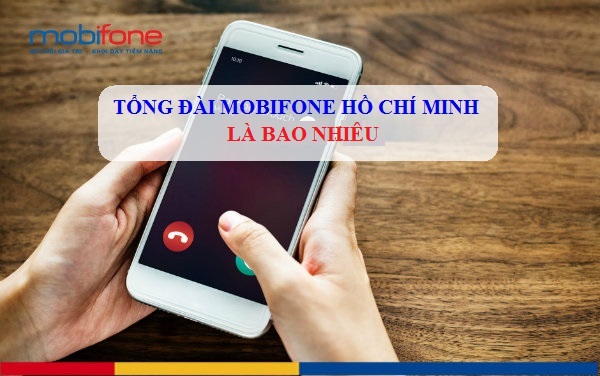 so tong dai ho chi minh tong dai ho chi minh