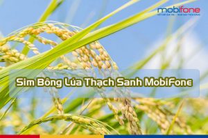 sim bong lua thach sanh mobifone