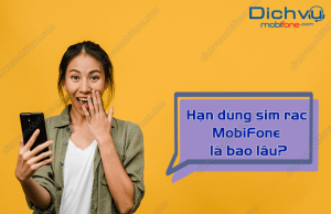 han dung sim rac mobifone la bao lau