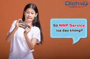 so dien thoai NNP Service lua dao