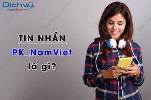 Tin nhan PK NamViet la gi