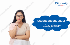 so 02888889922 lua dao