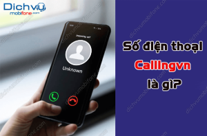 so dien thoai callingvn