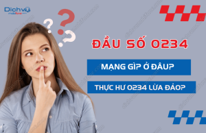 dau so 0234 la mang gi