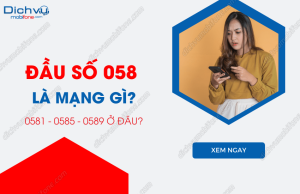 dau so 058 la mang gi